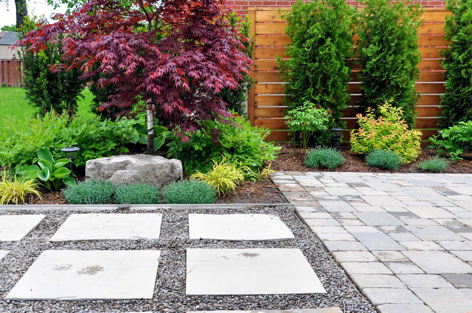 Backyard with stone pavers, gravel, lush green plants, a red-leaved tree, small shrubs, a large rock, and a wooden privacy fence in the background.