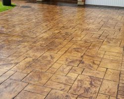 b9294c9e-0909-442d-8594-99a6459d2b41